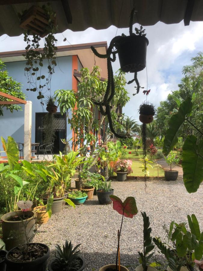 Villafarmsuk@خانوم المظهر الخارجي الصورة